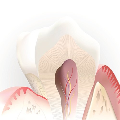 computer illustration of inside tooth